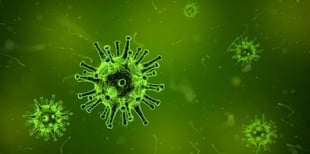 Microbe