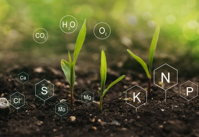 Chemical makeup of Fertilizer