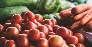 Close up image of tomatoes and carrots
