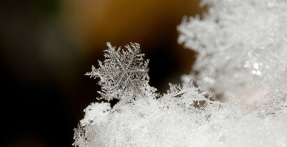 Close-up image of a snowflake