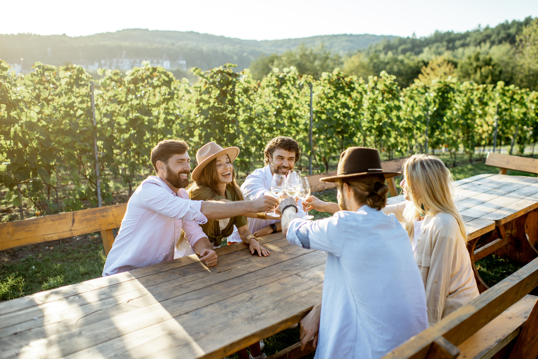 Group of friends toast in a winery